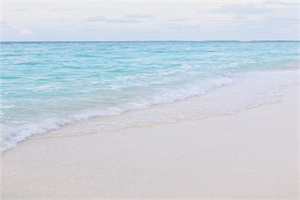 衣錦還鄉是什么動物