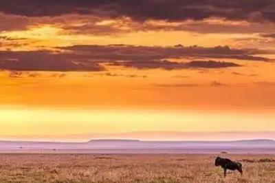 <a href=/internet/725fa4ad80ff95d49a770d2b8ba13e51.html target=_blank class=infotextkey>情降</a>真的可以讓兩個人復(fù)合嗎