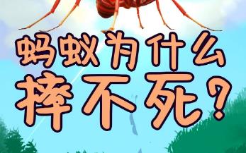螞蟻從高處掉下來為什么摔不死（為什么螞蟻摔不死）
