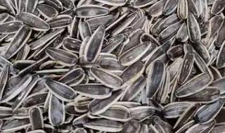 炒瓜子冒煙嗎？炒瓜子冒煙嗎還能吃嗎？