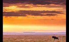 情降真的可以讓兩個人復合嗎