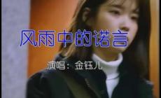 金鈺兒歌曲風中的諾言歌詞  金鈺兒個人資料