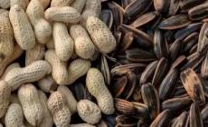 炒瓜子花生吃了有什么好處