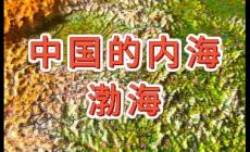 渤海是我國最大的內(nèi)海對嗎？