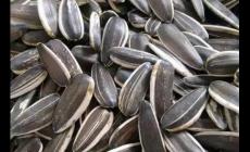 炒瓜子用鹽還是沙子好 炒瓜子用鹽還是沙子好吃