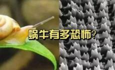 牙齒最多的動(dòng)物是什么,牙齒最多的動(dòng)物是什么動(dòng)物