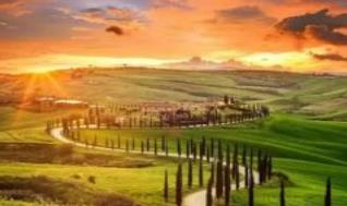 黑貓投訴電話是12315嗎？有用嗎？