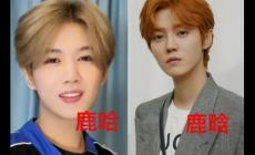 鹿哈真的月入500萬嗎？鹿哈憑啥走紅？