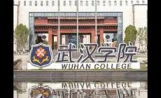 武漢學院是公辦的還是民辦的？