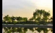 陜西省三本院校有哪些大學(xué) 陜西省三本院校名單2024