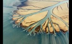 三角洲是什么意思 什么是三角洲