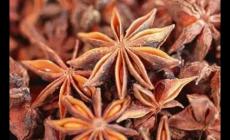 廣西藤縣最出名的特產(chǎn)有哪些？