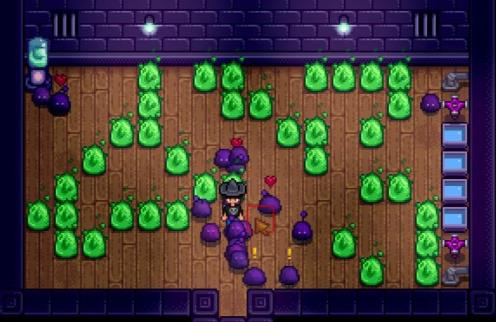 星露谷史萊姆屋子有啥用 星露谷史萊姆小屋的作用4