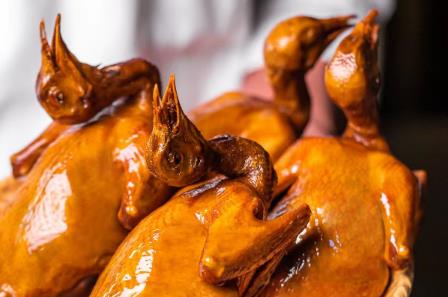 深圳光明招待所乳鴿多少錢一只2025（深圳特產光明乳鴿多少錢一只）