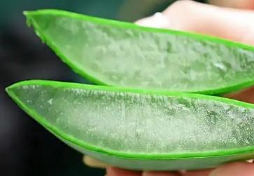 薈寶的蘆薈灌膚怎么樣（薈寶蘆薈灌膚效果好嗎）