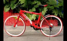 虎步自行車產地在哪個城市（虎步自行車產地在哪）