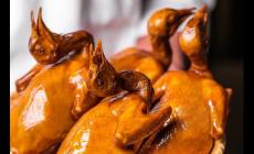 深圳光明招待所乳鴿多少錢一只2025（深圳特產光明乳鴿多少錢一只）