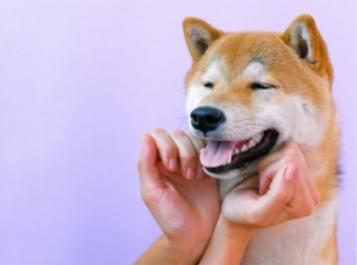 流氓有內(nèi)涵的名字搞笑的昵稱大全 流氓有內(nèi)涵的名字搞笑的昵稱大全