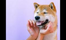 流氓有內(nèi)涵的名字-搞笑的昵稱大全