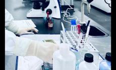 國內(nèi)醫(yī)學院校大學排名及錄取分數(shù)線（醫(yī)學院校大學排名二本分數(shù)線）