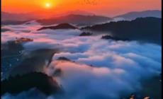 別人拿你當炮灰你該怎么辦? 給別人當炮灰是什么意思