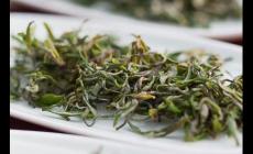 老山云霧茶屬于什么檔次 老山云霧茶屬于什么檔次的茶葉