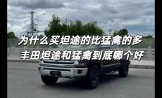 為什么買坦途的比猛禽的多 豐田坦途和猛禽到底哪個(gè)好