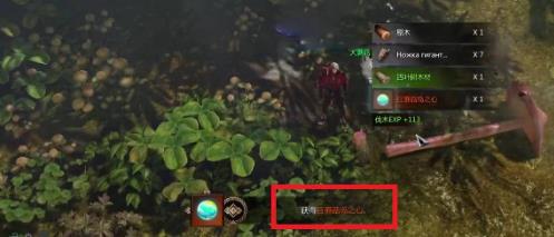 失落的方舟希里安好感度任務(wù)怎么做