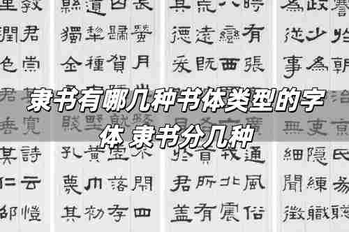 隸書有哪幾種書體類型的字體 隸書分幾種