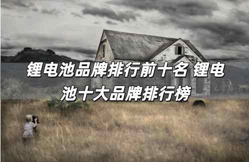 鋰電池品牌排行前十名 鋰電池十大品牌排行榜