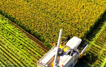 鄉(xiāng)村振興的英語怎么說 鄉(xiāng)村振興用英語怎么說