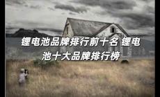 鋰電池品牌排行前十名 鋰電池十大品牌排行榜